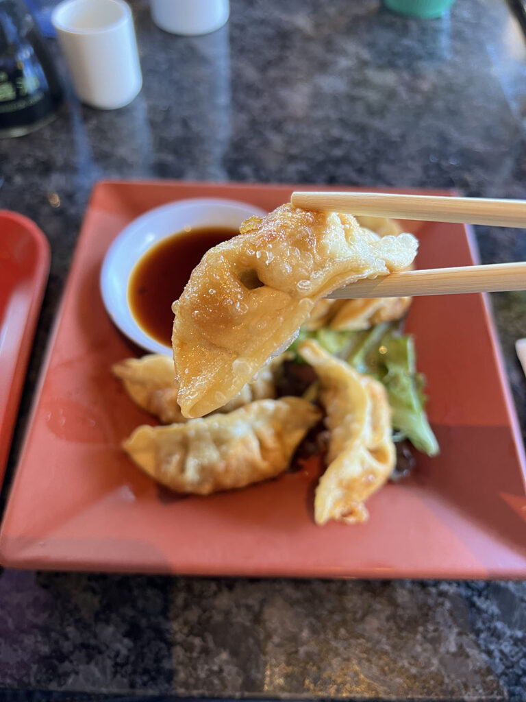 Sushi Groove - gyoza up close