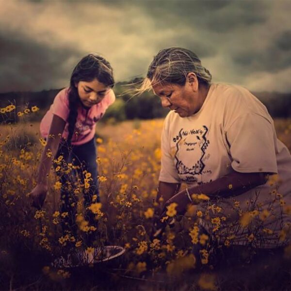 GATHER - The Fight to Revitalize Native Foodways