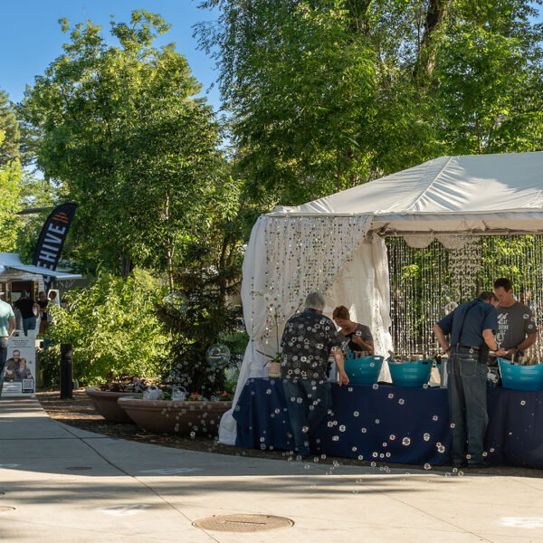 Eat Drink SLC - 2019's 'bubbles' tent