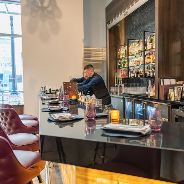 Aqua Terra - bar area