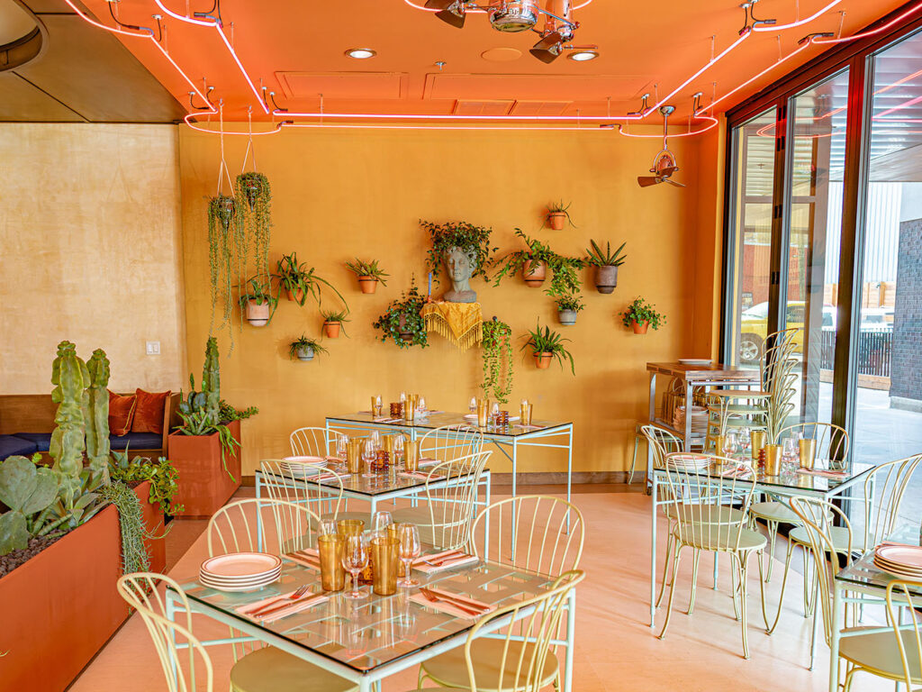 Cosmica - eye popping color (Gastronomic SLC)