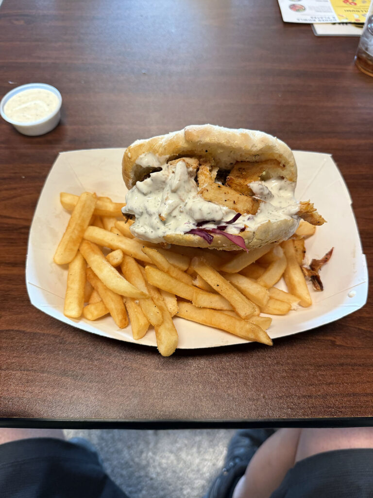 Saltify Grill - chicken doner (Gastronomic SLC)